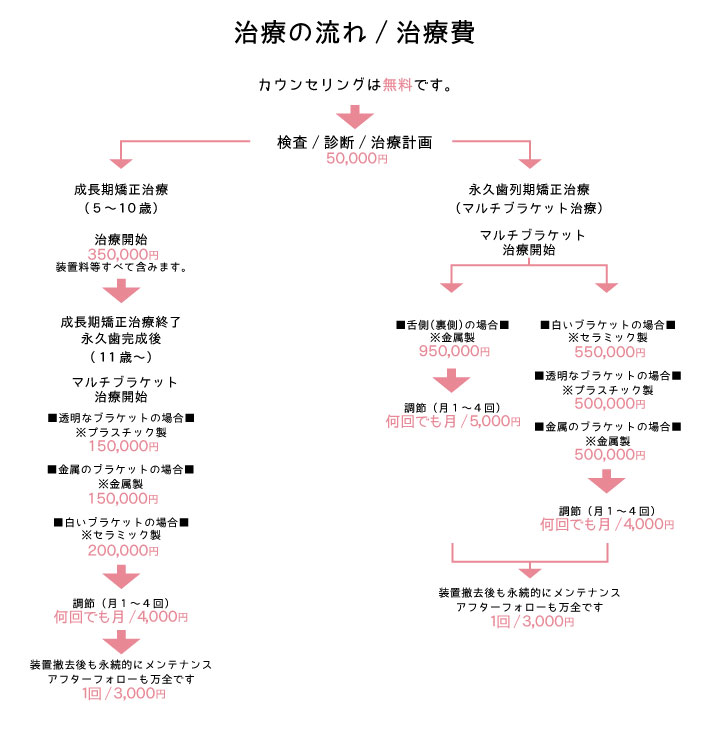 治療の流れ/治療費